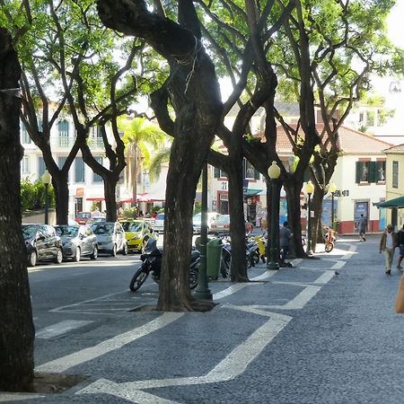 Shearwaternest Apartment Al Funchal Dış mekan fotoğraf